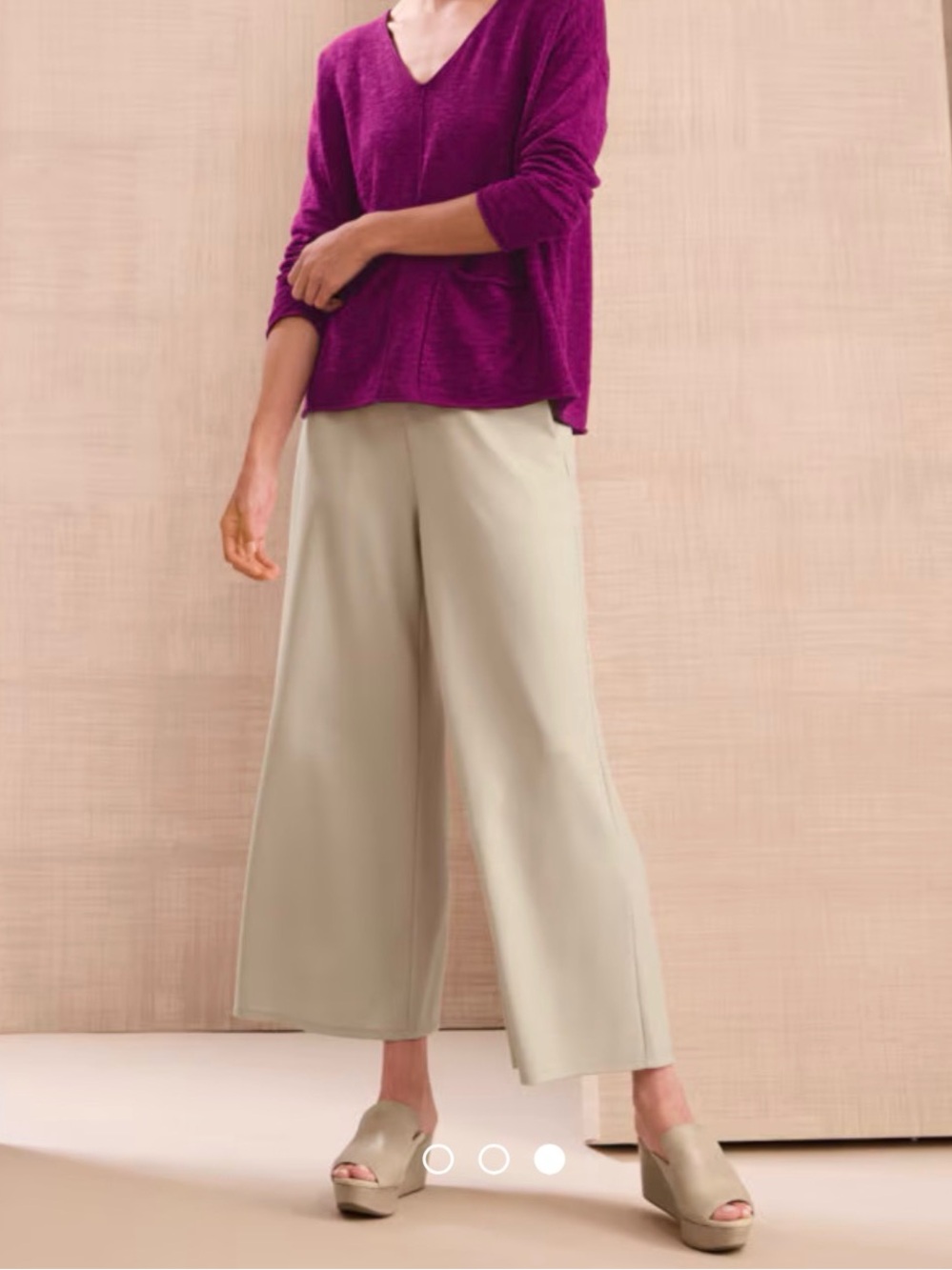 Eileen Fisher Wide-Leg Pants Ankle Tan Sz L